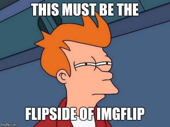 Futurama Fry Meme | THIS MUST BE THE FLIPSIDE OF IMGFLIP | image tagged in memes,futurama fry | made w/ Imgflip meme maker