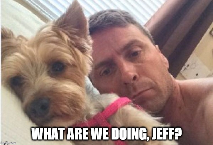 That moment we hate... | WHAT ARE WE DOING, JEFF? | image tagged in what are we doing,yorkie,memes,funny memes,funny because it's true | made w/ Imgflip meme maker