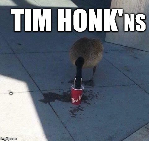 TIM HONK'; NS; HUG | image tagged in tim honk'ns | made w/ Imgflip meme maker