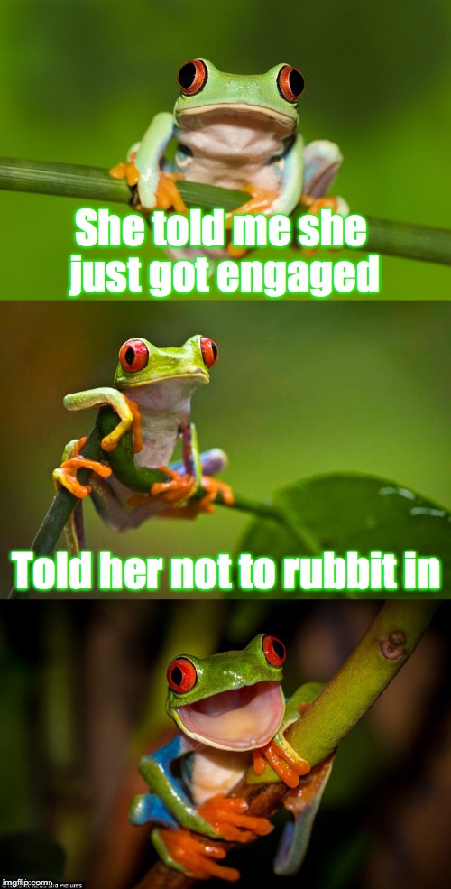 Frog Puns | She told me she just got engaged; Told her not to rubbit in | image tagged in frog puns | made w/ Imgflip meme maker