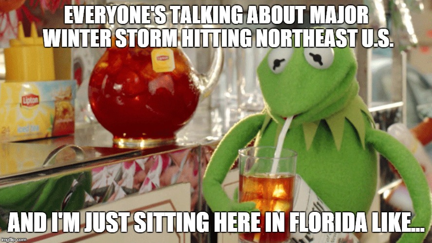 But That's None of Your Business | EVERYONE'S TALKING ABOUT MAJOR WINTER STORM HITTING NORTHEAST U.S. AND I'M JUST SITTING HERE IN FLORIDA LIKE... | image tagged in kermit the frog,meanwhile in florida,florida,winter storm,blizzard | made w/ Imgflip meme maker