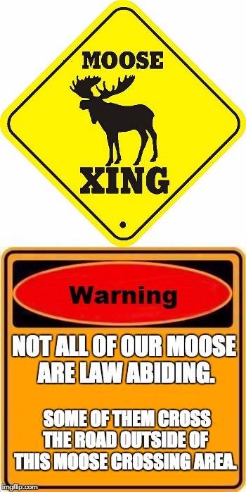 Jay walking moose. | NOT ALL OF OUR MOOSE ARE LAW ABIDING. SOME OF THEM CROSS THE ROAD OUTSIDE OF THIS MOOSE CROSSING AREA. | image tagged in moose | made w/ Imgflip meme maker