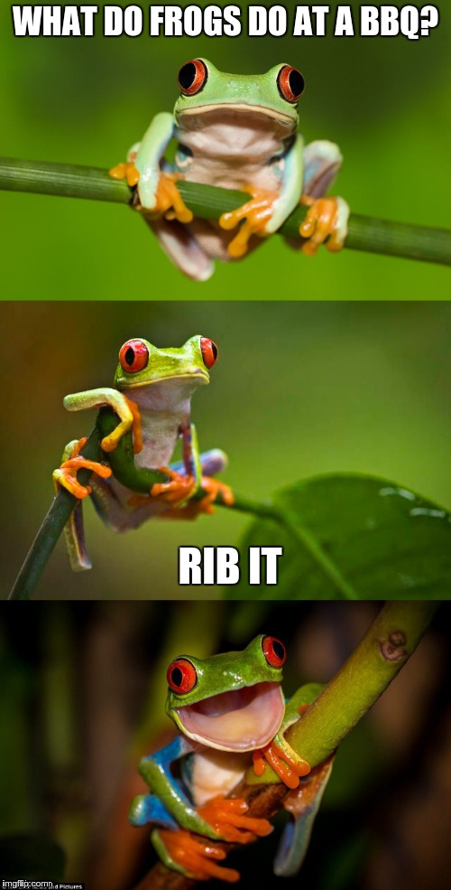 Frog Puns | WHAT DO FROGS DO AT A BBQ? RIB IT | image tagged in frog puns | made w/ Imgflip meme maker