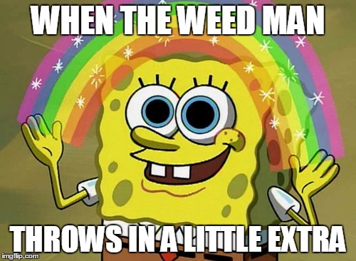 Imagination Spongebob | WHEN THE WEED MAN; THROWS IN A LITTLE EXTRA | image tagged in memes,imagination spongebob | made w/ Imgflip meme maker