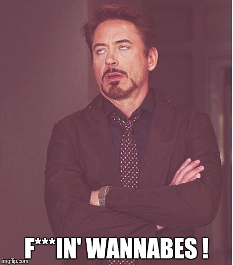 Face You Make Robert Downey Jr Meme | F***IN' WANNABES ! | image tagged in memes,face you make robert downey jr | made w/ Imgflip meme maker