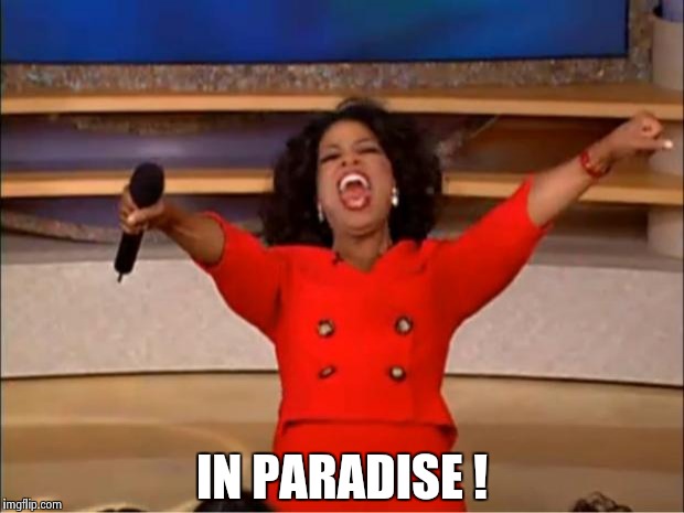 Oprah You Get A Meme | IN PARADISE ! | image tagged in memes,oprah you get a | made w/ Imgflip meme maker