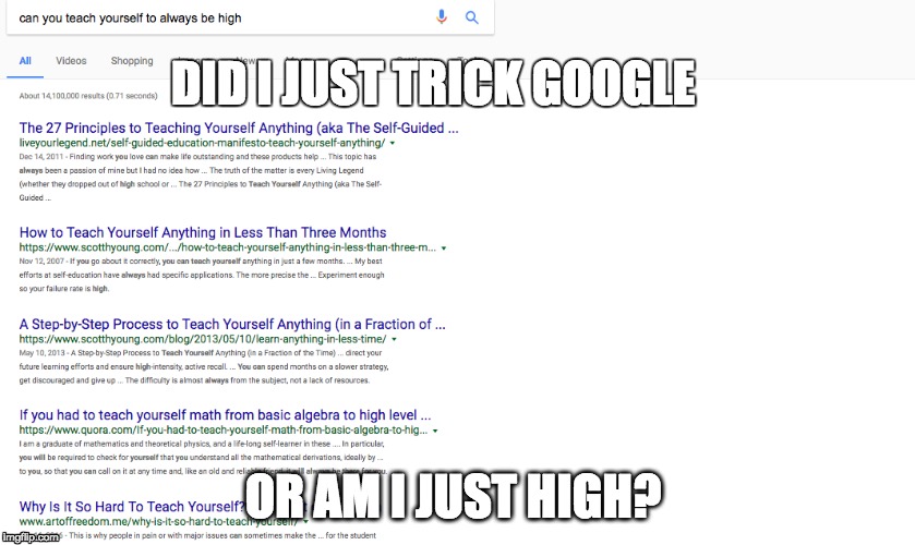 Snow Day | DID I JUST TRICK GOOGLE; OR AM I JUST HIGH? | image tagged in stoned,too damn high | made w/ Imgflip meme maker