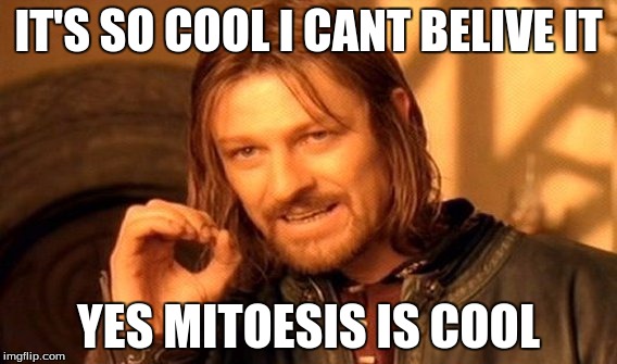 One Does Not Simply | IT'S SO COOL I CANT BELIVE IT; YES MITOESIS IS COOL | image tagged in memes,one does not simply | made w/ Imgflip meme maker