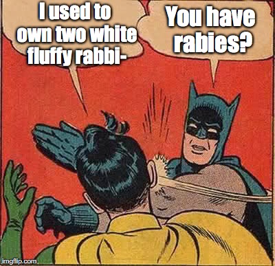 Batman Slapping Robin Meme | I used to own two white fluffy rabbi- You have rabies? | image tagged in memes,batman slapping robin | made w/ Imgflip meme maker