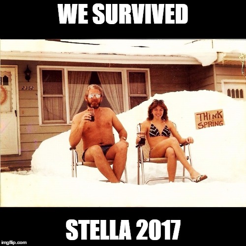 stella | WE SURVIVED; STELLA 2017 | image tagged in stella | made w/ Imgflip meme maker