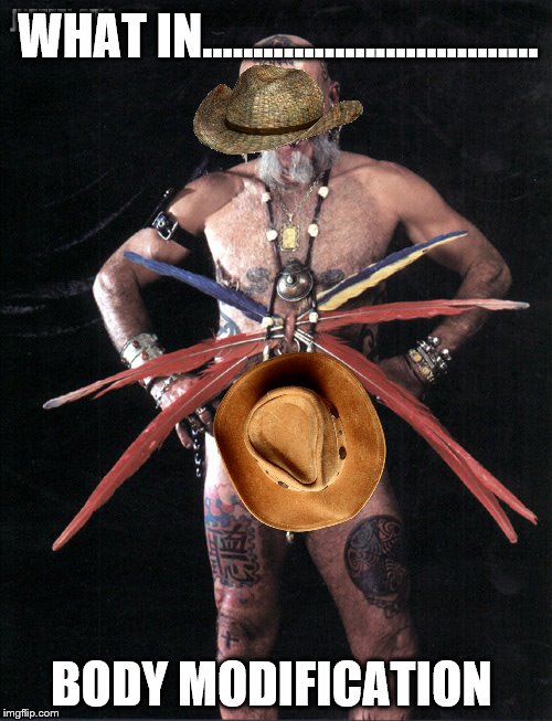 Parents must be proud whit in week | WHAT IN................................. BODY MODIFICATION | image tagged in what in tarnation week,piercings | made w/ Imgflip meme maker