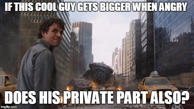 Hulk | IF THIS COOL GUY GETS BIGGER WHEN ANGRY; DOES HIS PRIVATE PART ALSO? | image tagged in hulk | made w/ Imgflip meme maker