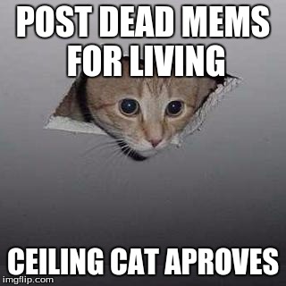 Ceiling Cat | POST DEAD MEMS FOR LIVING; CEILING CAT APROVES | image tagged in memes,ceiling cat | made w/ Imgflip meme maker