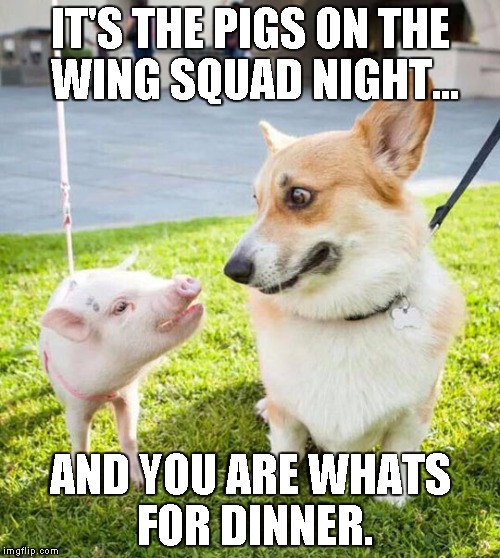 IT'S THE PIGS ON THE WING SQUAD NIGHT... AND YOU ARE WHATS FOR DINNER. | made w/ Imgflip meme maker