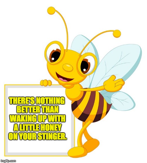 That always starts my day off right too. | THERE'S NOTHING BETTER THAN WAKING UP WITH A LITTLE HONEY ON YOUR STINGER. | image tagged in bee | made w/ Imgflip meme maker