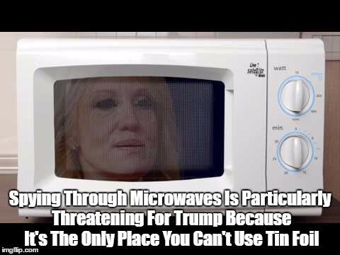 Spying Through Microwaves Is Particularly Threatening For Trump Because It's The Only Place You Can't Use Tin Foil | made w/ Imgflip meme maker