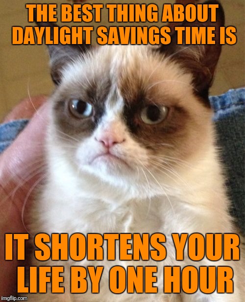 Grumpy Cat Meme | THE BEST THING ABOUT DAYLIGHT SAVINGS TIME IS; IT SHORTENS YOUR LIFE BY ONE HOUR | image tagged in memes,grumpy cat | made w/ Imgflip meme maker
