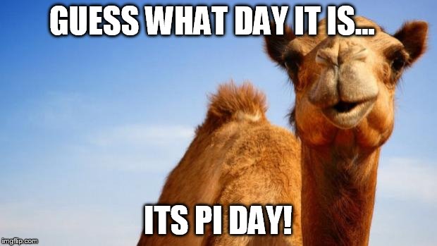 Camel | GUESS WHAT DAY IT IS... ITS PI DAY! | image tagged in camel | made w/ Imgflip meme maker