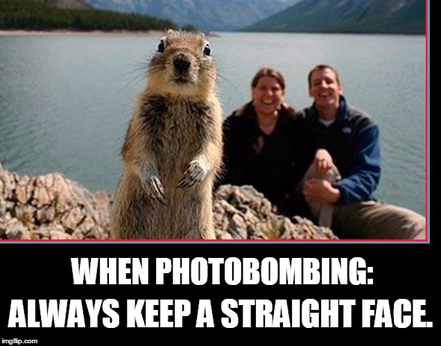 Comedy Secrets: Let Nature Take it's Course | WHEN PHOTOBOMBING:; ALWAYS KEEP A STRAIGHT FACE. | image tagged in vince vance,photobombs | made w/ Imgflip meme maker