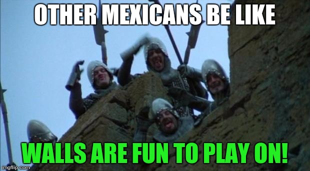 monty python taunt | OTHER MEXICANS BE LIKE; WALLS ARE FUN TO PLAY ON! | image tagged in monty python taunt | made w/ Imgflip meme maker