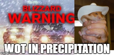 WOT IN PRECIPITATION | image tagged in snow,what in tarnation,blizzard,libtards | made w/ Imgflip meme maker