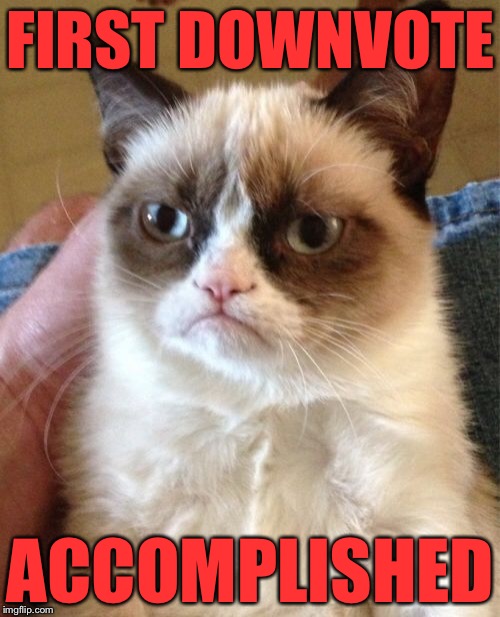 Grumpy Cat Meme | FIRST DOWNVOTE ACCOMPLISHED | image tagged in memes,grumpy cat | made w/ Imgflip meme maker