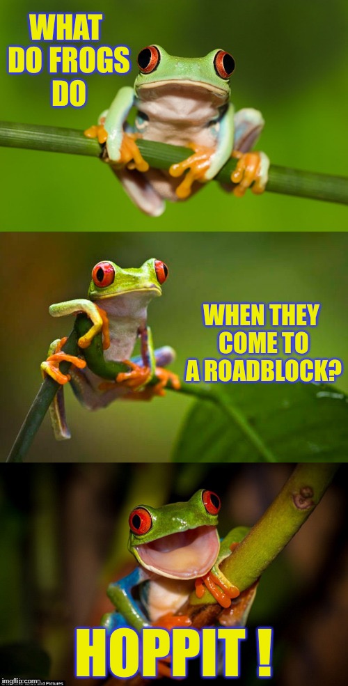Frog Puns | WHAT DO FROGS DO; WHEN THEY COME TO A ROADBLOCK? HOPPIT ! | image tagged in frog puns,memes,bad puns,cute animals | made w/ Imgflip meme maker