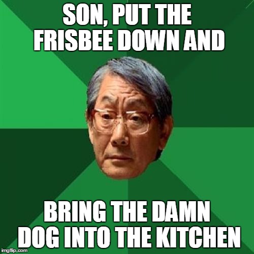 High Expectations Asian Father Meme | SON, PUT THE FRISBEE DOWN AND; BRING THE DAMN DOG INTO THE KITCHEN | image tagged in memes,high expectations asian father | made w/ Imgflip meme maker