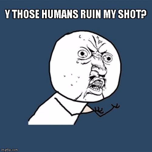 Y U No Meme | Y THOSE HUMANS RUIN MY SHOT? | image tagged in memes,y u no | made w/ Imgflip meme maker