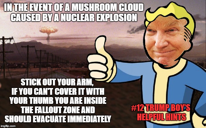 Trump Boy Helpful Hint #12 | IN THE EVENT OF A MUSHROOM CLOUD CAUSED BY A NUCLEAR EXPLOSION; STICK OUT YOUR ARM, IF YOU CAN'T COVER IT WITH YOUR THUMB YOU ARE INSIDE THE FALLOUT ZONE AND SHOULD EVACUATE IMMEDIATELY; #12 TRUMP BOY'S HELPFUL HINTS | image tagged in donald trump,donald trump approves,fallout vault boy,apocalypse,fallout,nuclear war | made w/ Imgflip meme maker