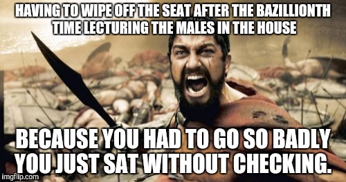 Sparta Leonidas Meme | HAVING TO WIPE OFF THE SEAT AFTER THE BAZILLIONTH TIME LECTURING THE MALES IN THE HOUSE; BECAUSE YOU HAD TO GO SO BADLY YOU JUST SAT WITHOUT CHECKING. | image tagged in memes,sparta leonidas | made w/ Imgflip meme maker