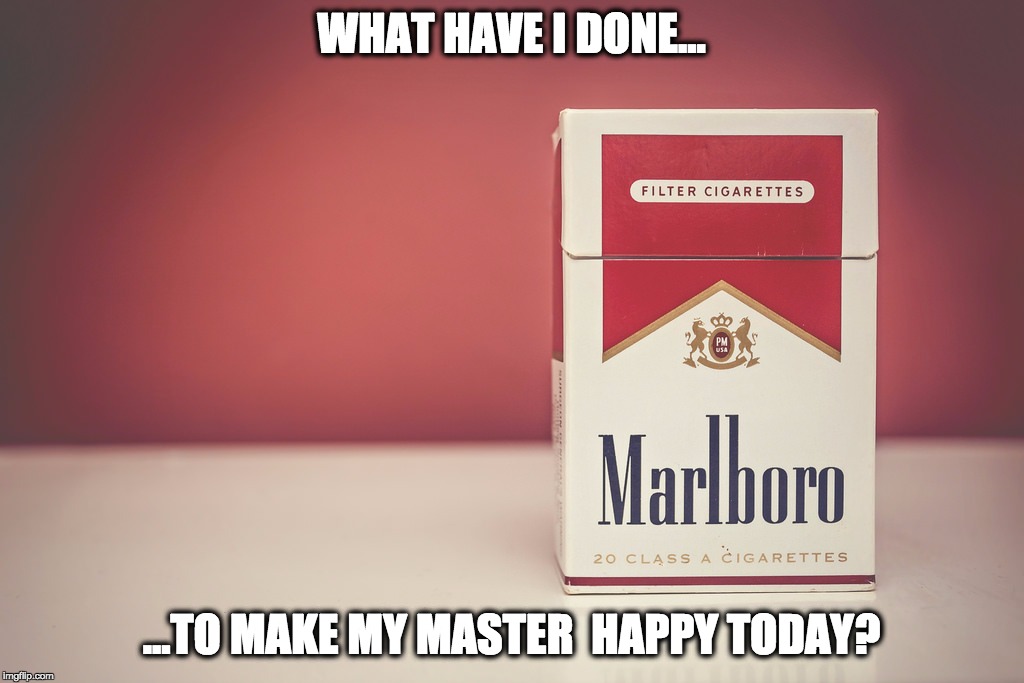 A slave's credo | WHAT HAVE I DONE... ...TO MAKE MY MASTER 
HAPPY TODAY? | image tagged in slave,master,marlbororeds | made w/ Imgflip meme maker