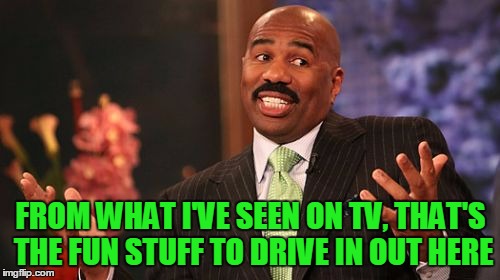 FROM WHAT I'VE SEEN ON TV, THAT'S THE FUN STUFF TO DRIVE IN OUT HERE | image tagged in memes,steve harvey | made w/ Imgflip meme maker