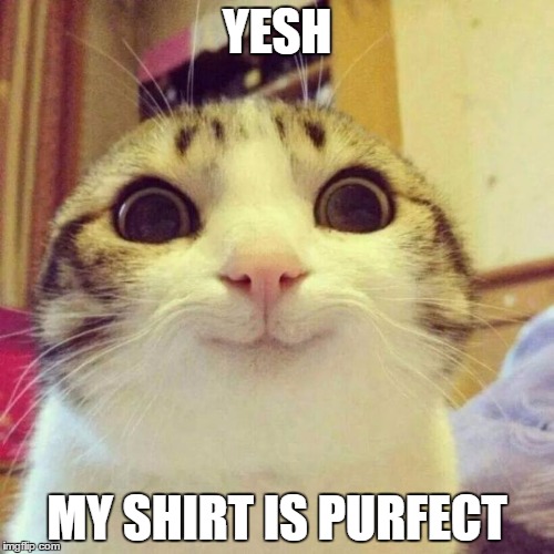 Smiling Cat | YESH; MY SHIRT IS PURFECT | image tagged in memes,smiling cat | made w/ Imgflip meme maker