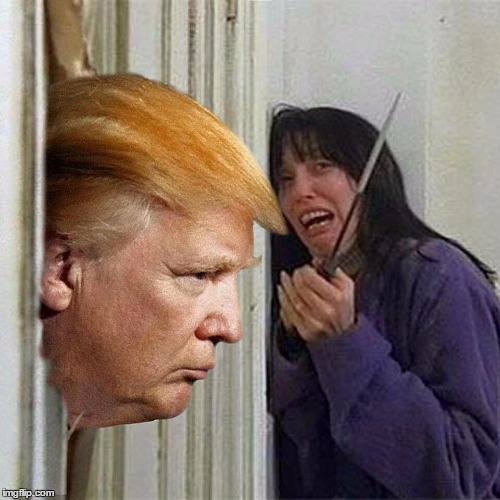 Donald trump here's Donny | image tagged in donald trump here's donny | made w/ Imgflip meme maker