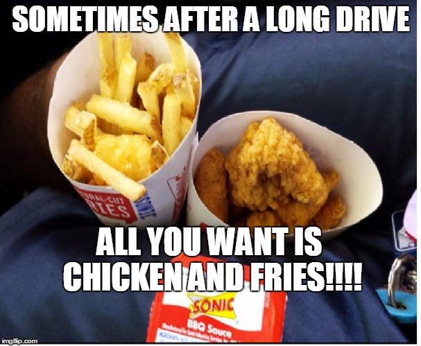 SOMETIMES AFTER A LONG DRIVE; ALL YOU WANT IS CHICKEN AND FRIES!!!! | image tagged in sonic | made w/ Imgflip meme maker