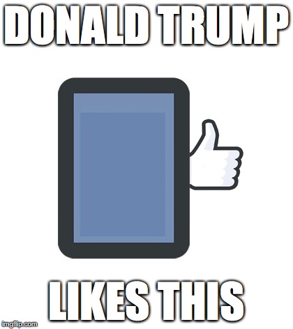 DT Like | DONALD TRUMP; LIKES THIS | image tagged in trump,donald trump,donald trump approves,like | made w/ Imgflip meme maker