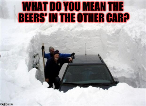 Snow | WHAT DO YOU MEAN THE BEERS' IN THE OTHER CAR? | image tagged in snow | made w/ Imgflip meme maker