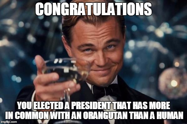 Leonardo Dicaprio Cheers | CONGRATULATIONS; YOU ELECTED A PRESIDENT THAT HAS MORE IN COMMON WITH AN ORANGUTAN THAN A HUMAN | image tagged in memes,leonardo dicaprio cheers | made w/ Imgflip meme maker