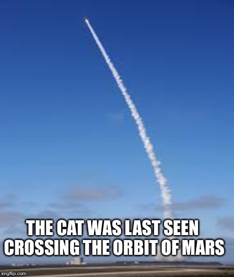 THE CAT WAS LAST SEEN CROSSING THE ORBIT OF MARS | made w/ Imgflip meme maker