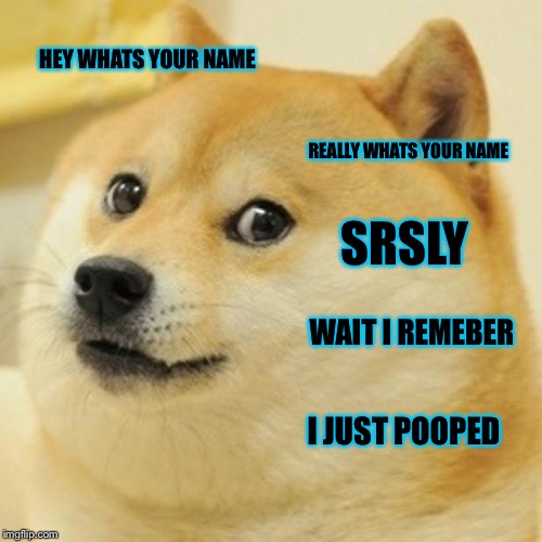 Doge Meme | HEY WHATS YOUR NAME; REALLY WHATS YOUR NAME; SRSLY; WAIT I REMEBER; I JUST POOPED | image tagged in memes,doge | made w/ Imgflip meme maker