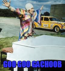GOO GOO GACHOOB | image tagged in walrus | made w/ Imgflip meme maker