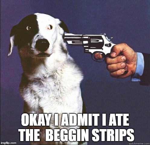 interrogation | OKAY I ADMIT I ATE THE  BEGGIN STRIPS | image tagged in shoot dog | made w/ Imgflip meme maker