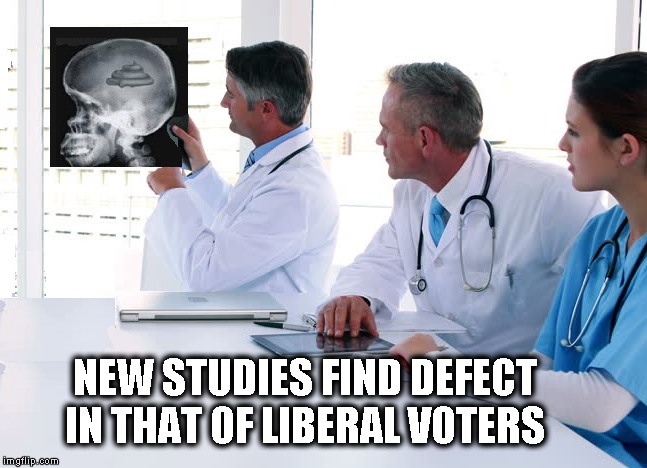 Brain Defect of Liberal Voters | NEW STUDIES FIND DEFECT                IN THAT OF LIBERAL VOTERS | image tagged in liberals,justin trudeau,meme | made w/ Imgflip meme maker