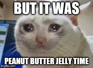Sad cat | BUT IT WAS; PEANUT BUTTER JELLY TIME | image tagged in sad cat | made w/ Imgflip meme maker