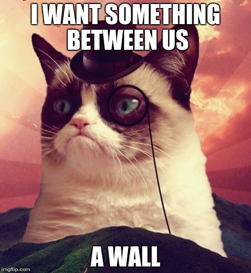 Grumpy Cat Top Hat Meme | I WANT SOMETHING BETWEEN US; A WALL | image tagged in memes,grumpy cat top hat,grumpy cat | made w/ Imgflip meme maker