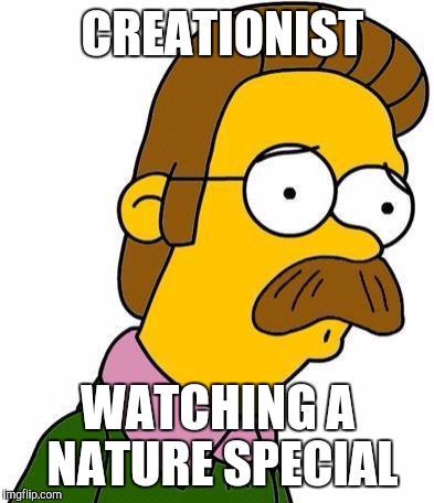 Ned Flanders | CREATIONIST; WATCHING A NATURE SPECIAL | image tagged in ned flanders | made w/ Imgflip meme maker