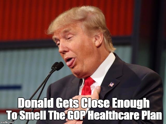 Donald Gets Close Enough To Smell The GOP Healthcare Plan | made w/ Imgflip meme maker