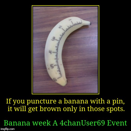 Banana for measuring!(Banana Week A 4chanUser69 Event) | If you puncture a banana with a pin, it will get brown only in those spots. | Banana week A 4chanUser69 Event | image tagged in funny,demotivationals,banana week,banana,a 4chanuser69 event,google images | made w/ Imgflip demotivational maker