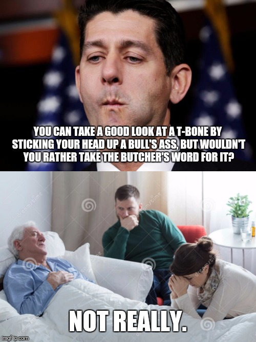 YOU CAN TAKE A GOOD LOOK AT A T-BONE BY STICKING YOUR HEAD UP A BULL'S ASS, BUT WOULDN'T YOU RATHER TAKE THE BUTCHER'S WORD FOR IT? NOT REALLY. | image tagged in memes,paul ryan sacking cuck,trumpcare,don't ask questions,dying man,tommy boy | made w/ Imgflip meme maker